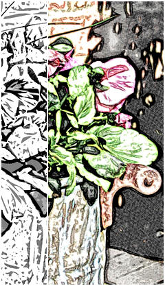 The Copper Planter - Pansies of your favorite colors can decorate your creation with the help of this free print.