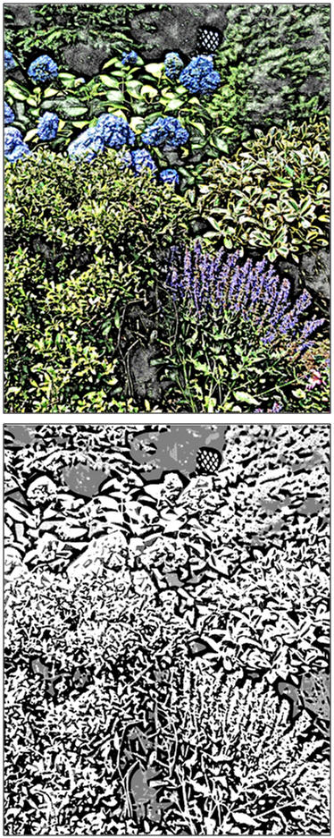 Untangle nature's zentangle of flowers, shrubs and vines in a crowded garden bed. Print and enjoy a challenging, free coloring page or watercolor pattern.