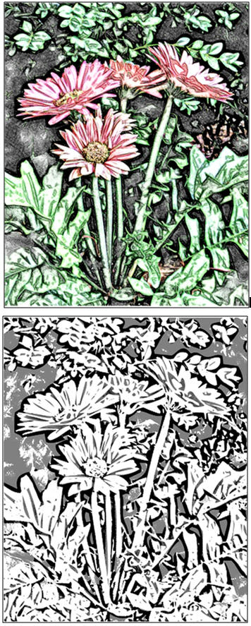 Free Coloring Page: Garden Flowers