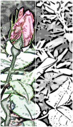 Garden Rose Buds - One of eight different free garden flower coloring pages from TodaysArts.net