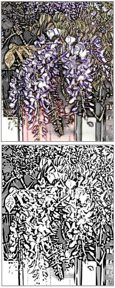Wisteria at the Door - Print a free coloring page or watercolor pattern at TodaysArts.net
