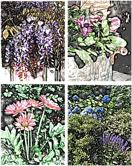 TodaysArts.net has free garden flower coloring pages for you.