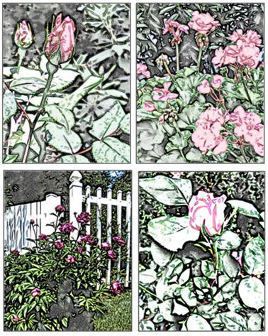 TodaysArts.net has a bunch of free garden flower coloring pages for you.