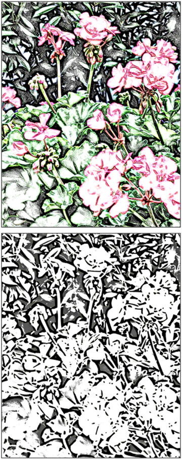 Create a scene of geraniums in a garden with colored pencils, crayons, watercolors, pastels, markers or watercolor pencils. Print a free coloring or paint-over page at TodaysArts.net