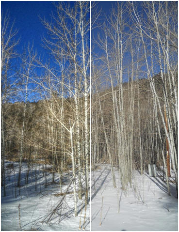 Convert dull snapshots into brilliant HDR-style photographs with a click of a button with AnyMaking.com's free, easy online app.