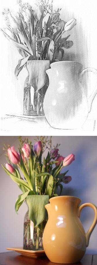 Learn how to convert your photos into digital drawings the quick, easy and free way.