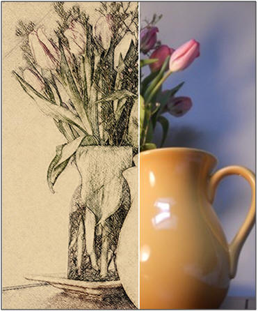 Learn a quick, easy, fun and free way to change your snapshots into digital drawings. Click to try the online app at PhotoFaceFun.com