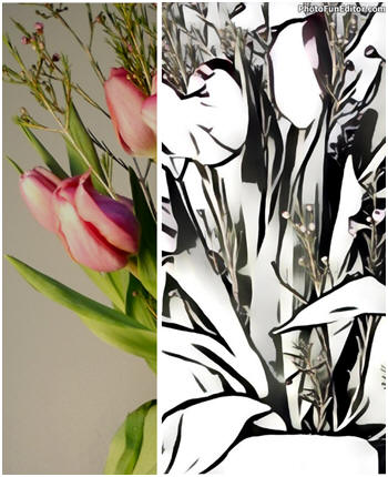 Turn your photos into unusual wall art, gifts, posters or blog illustrations that look like hand-crafted cartoons and woodcut illustrations. Bold graphics are sure to get people's attention. Here's a quick, easy and free way to do it.