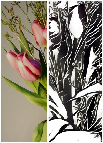 Create Woodcut-Style Digital Illustrations from Your Photos. Here's a quick, easy, free way to do it.