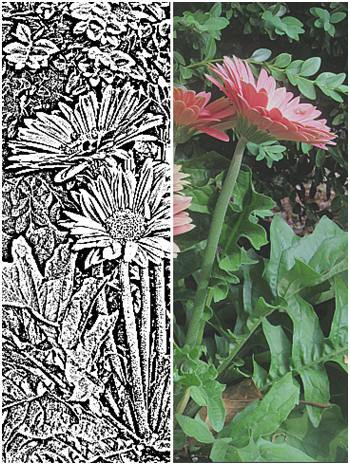 Give a vintage, engraved illustration look to any of your photos. It's free and easy. Just click to learn how.