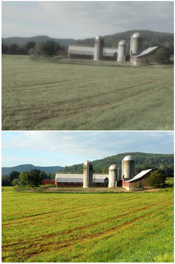 Bad photographs? Improve them with easy-to-use, free, online photo editors.