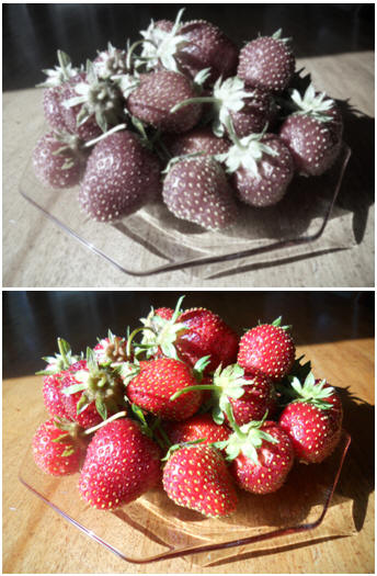 Dull, out-of-focus photographs? Improve them with easy-to-use, free, online photo editors.