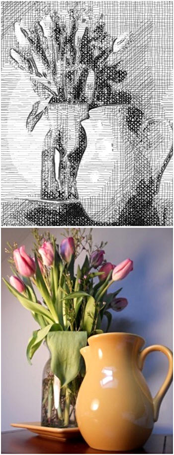 Learn how easy it is to convert your snapshots into digital pen and ink drawings with the free photo converter at FotoSketcher.com