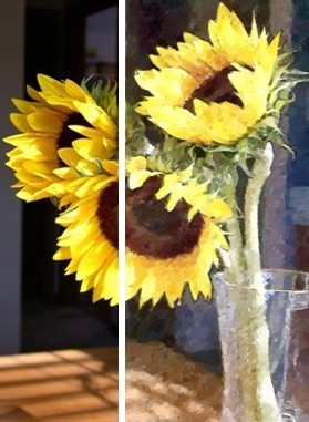 Free Reference Photographs:  Are you looking for inspiration for your painting, watercolor, drawing or craft projects? Join WetCanvas.com, for free, and you'll get to use any of over 75,000 beautiful images in their free reference photo library. Youll also get access to the full Wet Canvas site with helpful articles, how-to videos and forums on your favorite style of art. (Image: Wet Canvas Photo Library Sunflowers Photograph by Tessp, and a watercolor version created at FotoSketcher.com)